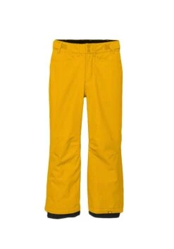 PANTALONI SNOWBOARD ROXY BACKYARD PANT YLV0